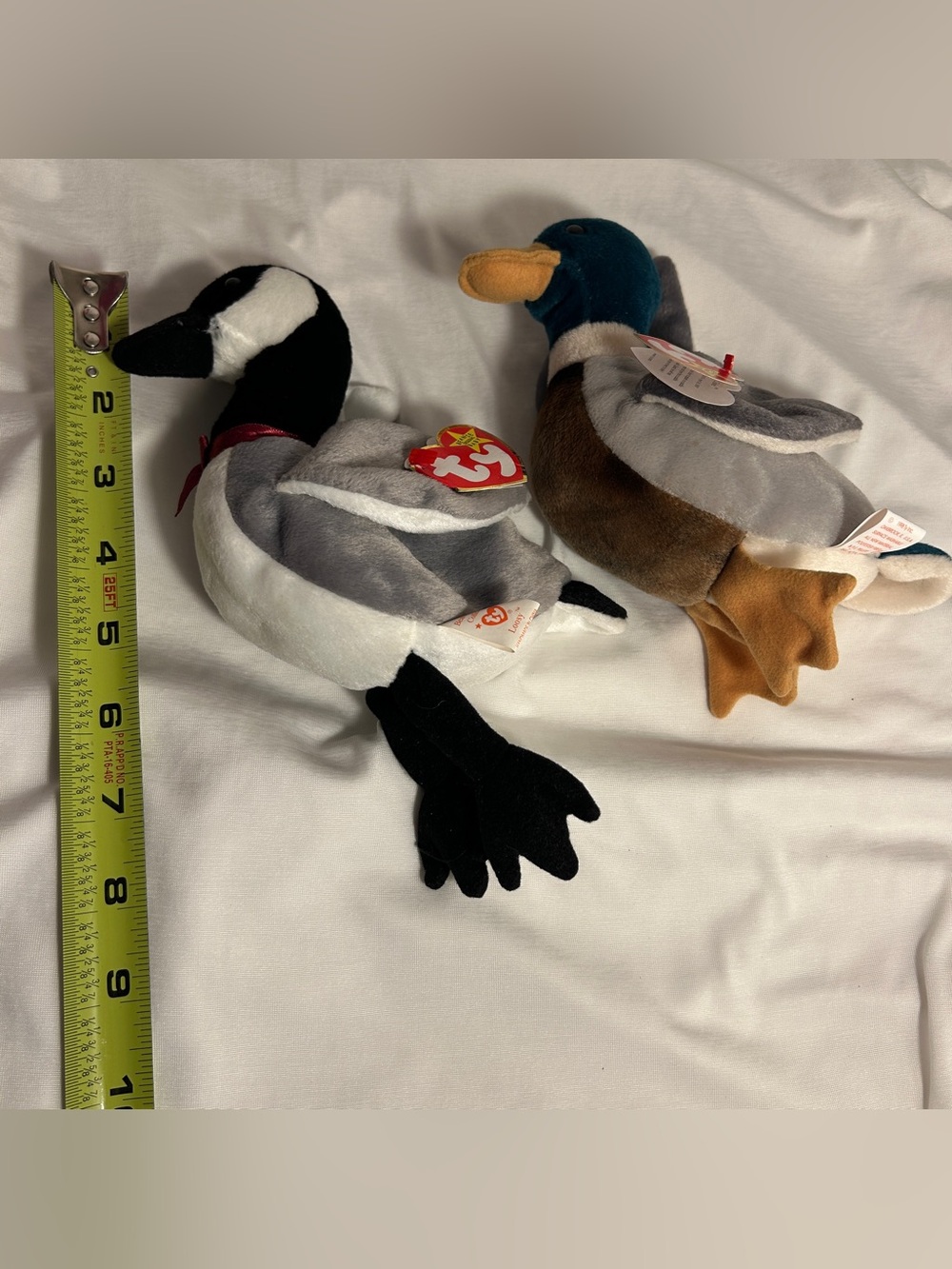 Vintage Ty Beanie Baby Lot Jake the Duck Loosy the Canada Goose bird bean babies - Picture 3 of 15